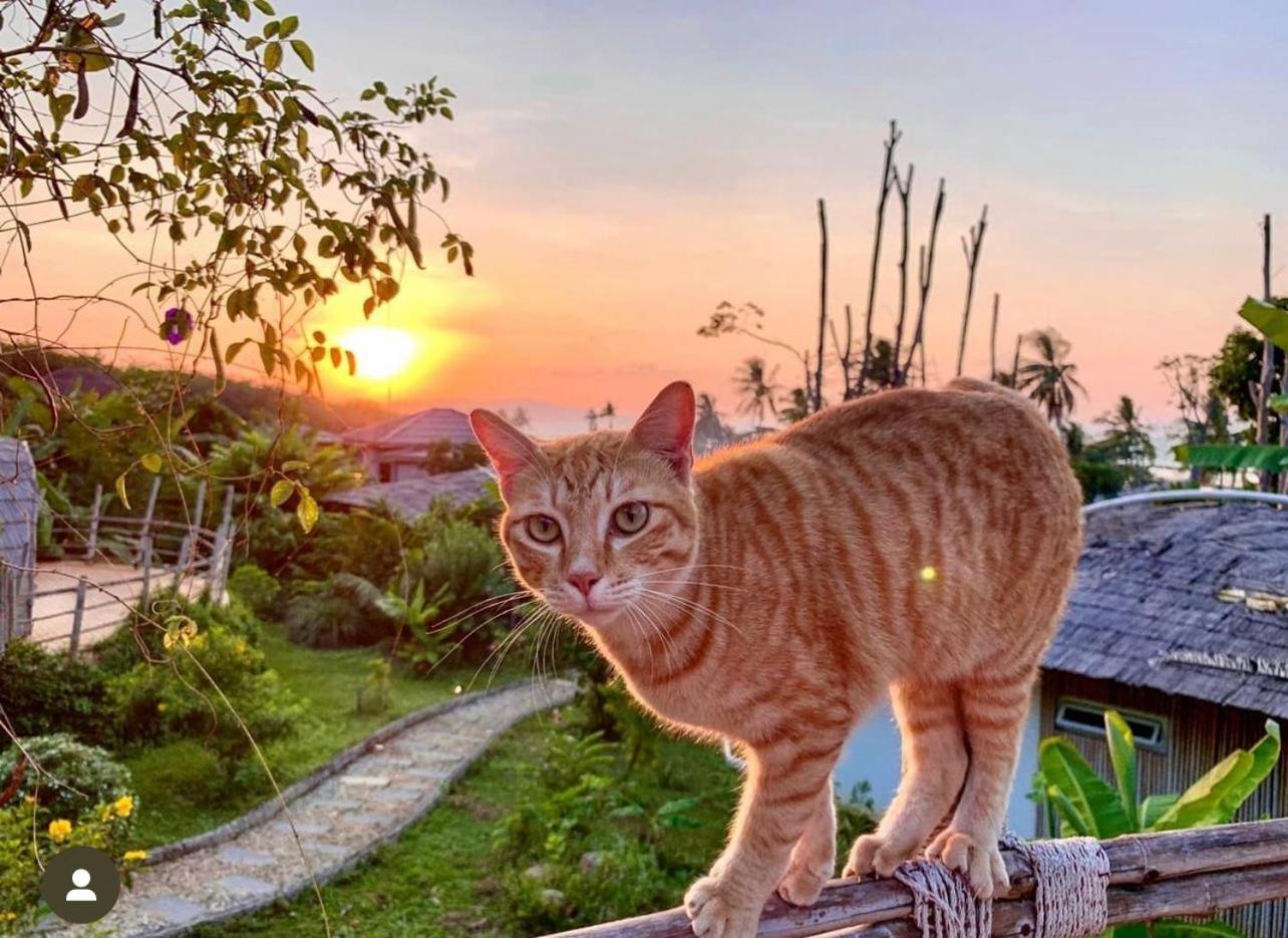 Jaiyen Resort Ko Yao Noi Bagian luar foto